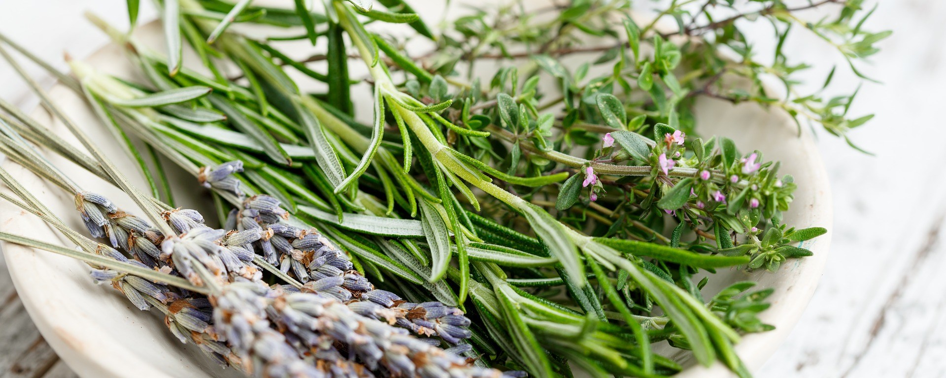 Image by gate74 from Pixabay